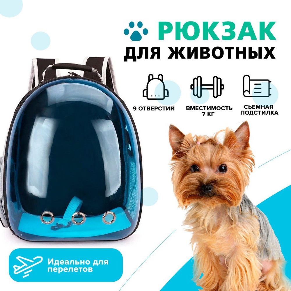 Рюкзак для животных Черный с затемненной дверцей / Для мелких и средних пород  #1
