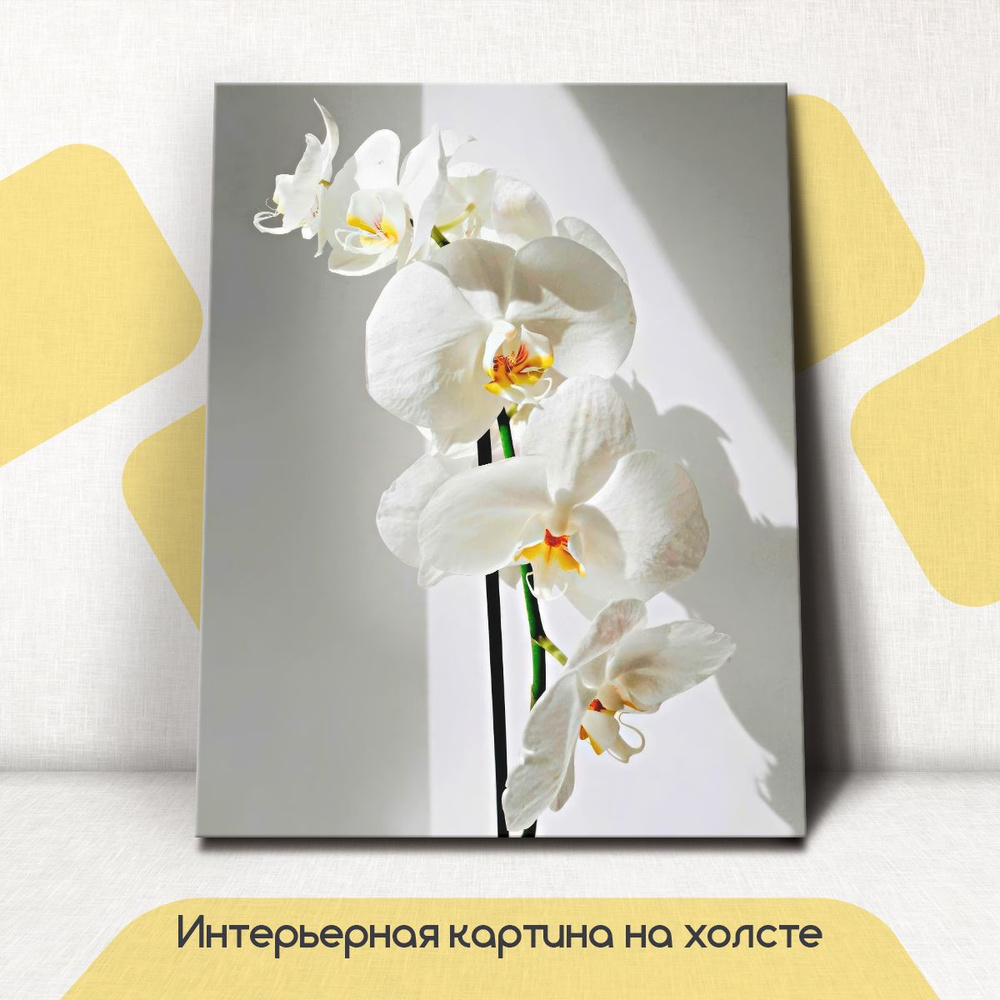 Картина интерьерная на стену, на холсте - Орхидея белая 45x60 см  #1