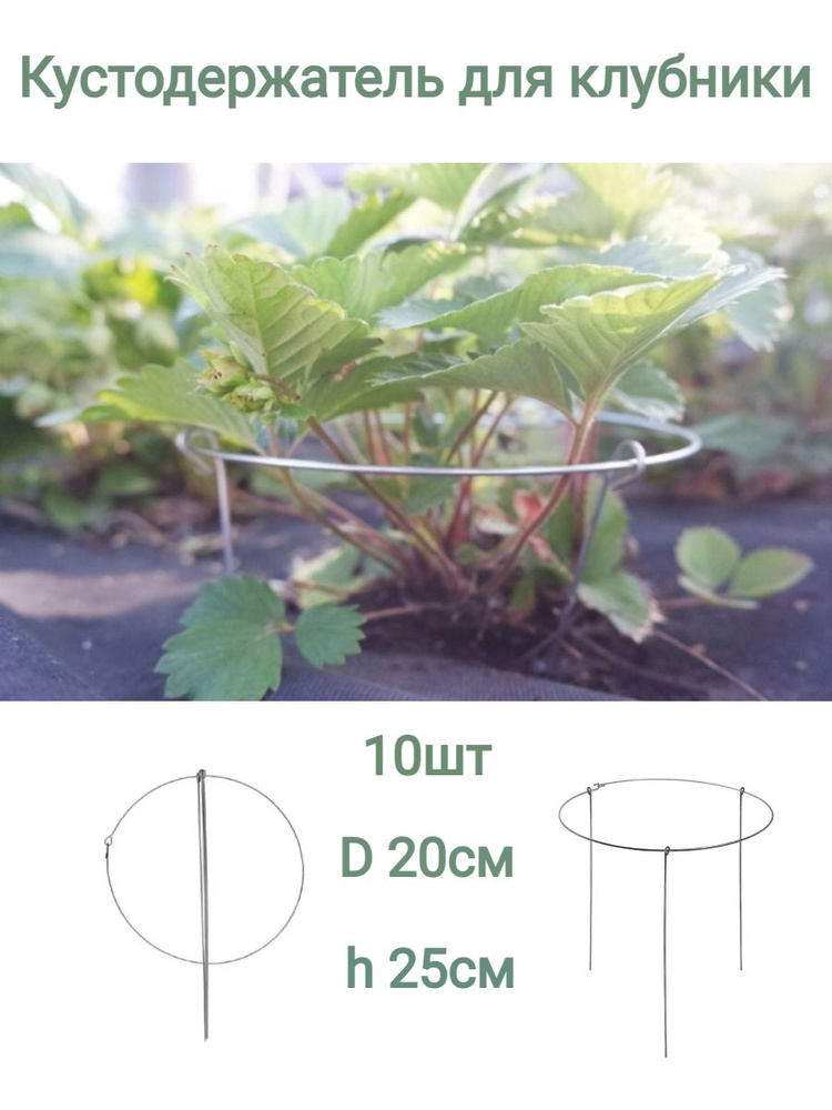 Кустодержатель садовый универсальный, металлический, круглый. Опора для растений, цветов, кустов клубники #1