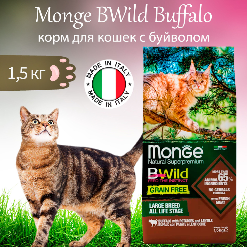 Monge Cat BWild Buffalo 1,5 кг сухой корм для котят и крупных кошек, беззерновой, из мяса буйвола  #1