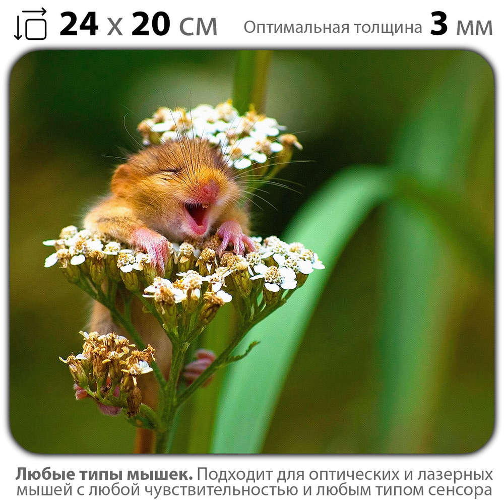 Коврик для мышки / мышонок, цветок, зелёный, природа, крошка, счастье, отдых, трава, лепесток, успех, #1