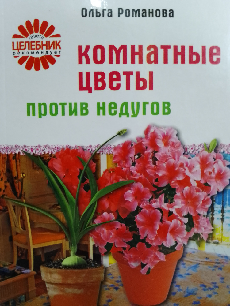 Комнатные цветы против недугов | Романова Ольга Владимировна  #1