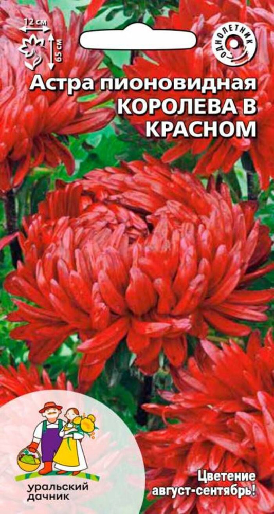 Семена Астра пионовидная Королева в красном (УД) 0,2 г #1