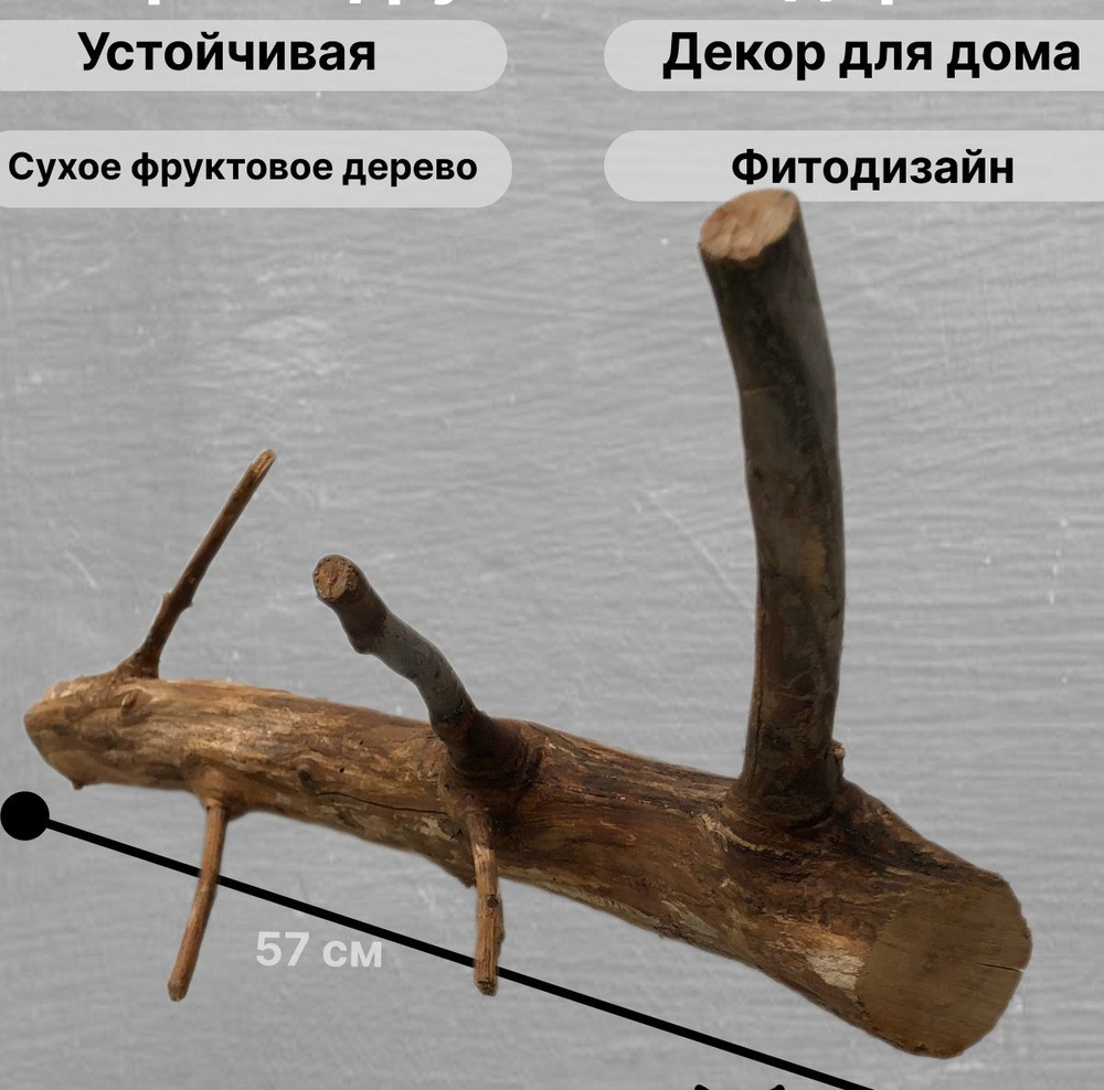 Коряга 57*17*17 см для террариума натуральная #1