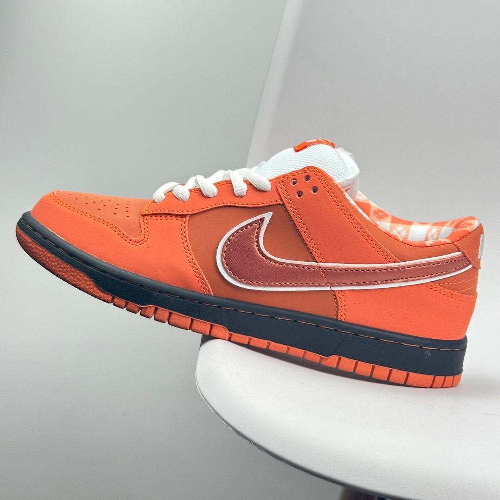 Кроссовки Nike Dunk SB #1