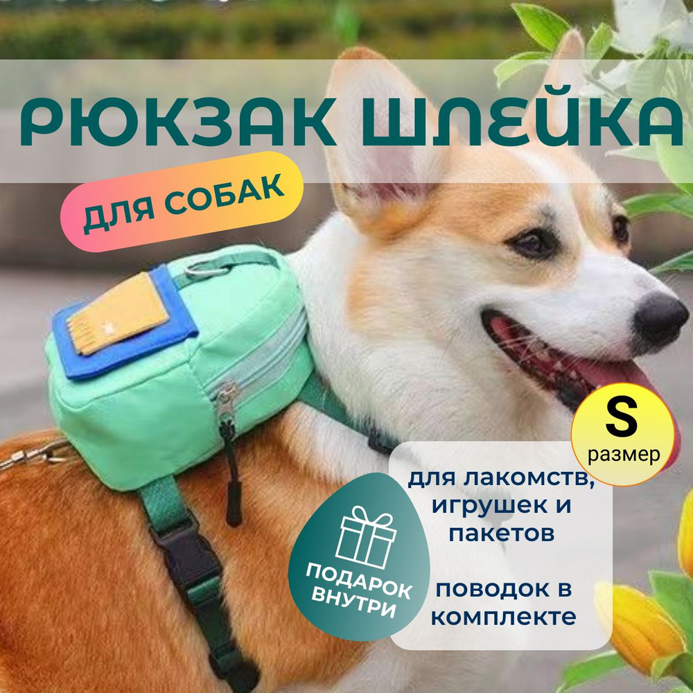 Рюкзак-шлейка для собаки / шлейка с рюкзаком / шлейка с поводком  #1