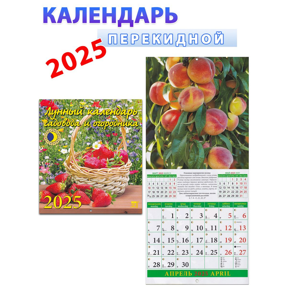 Атберг 98 Календарь 2025 г., Настенный перекидной #1