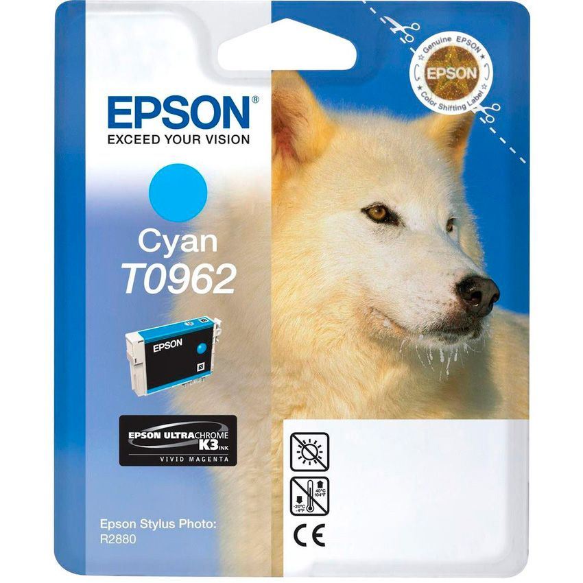 Картридж для принтера Epson T0962 (cyan) (C13T09624010) #1