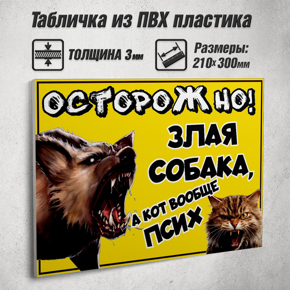 Информационная табличка "Исторожно! Злая собака, а кот вообще псих" / 30x21 см.  #1