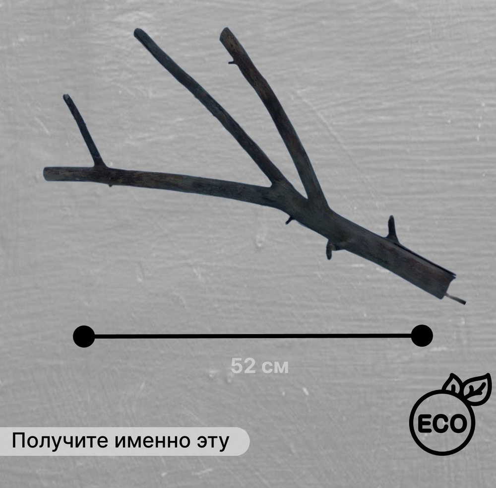 Коряга 52*27*14 см для террариума натуральная #1