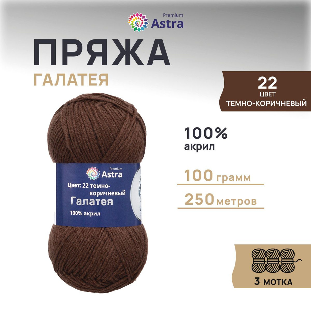 Пряжа Astra Premium Галатея Классическая Акриловая, 22 темно-коричневый, 100 гр, 250 м, 3 шт/упак  #1