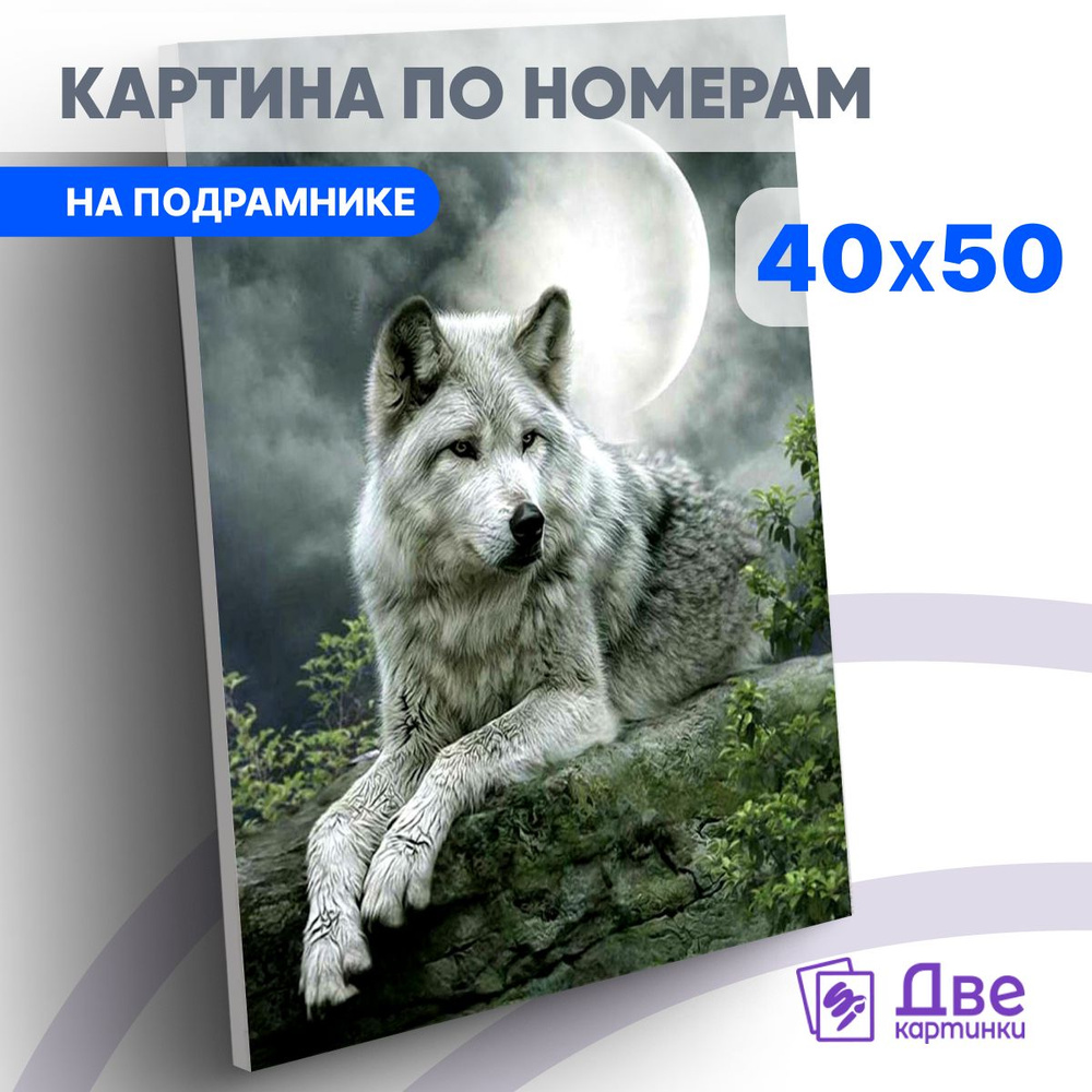 Картина по номерам 40х50 см на подрамнике "Белый волк под луной" DVEKARTINKI  #1
