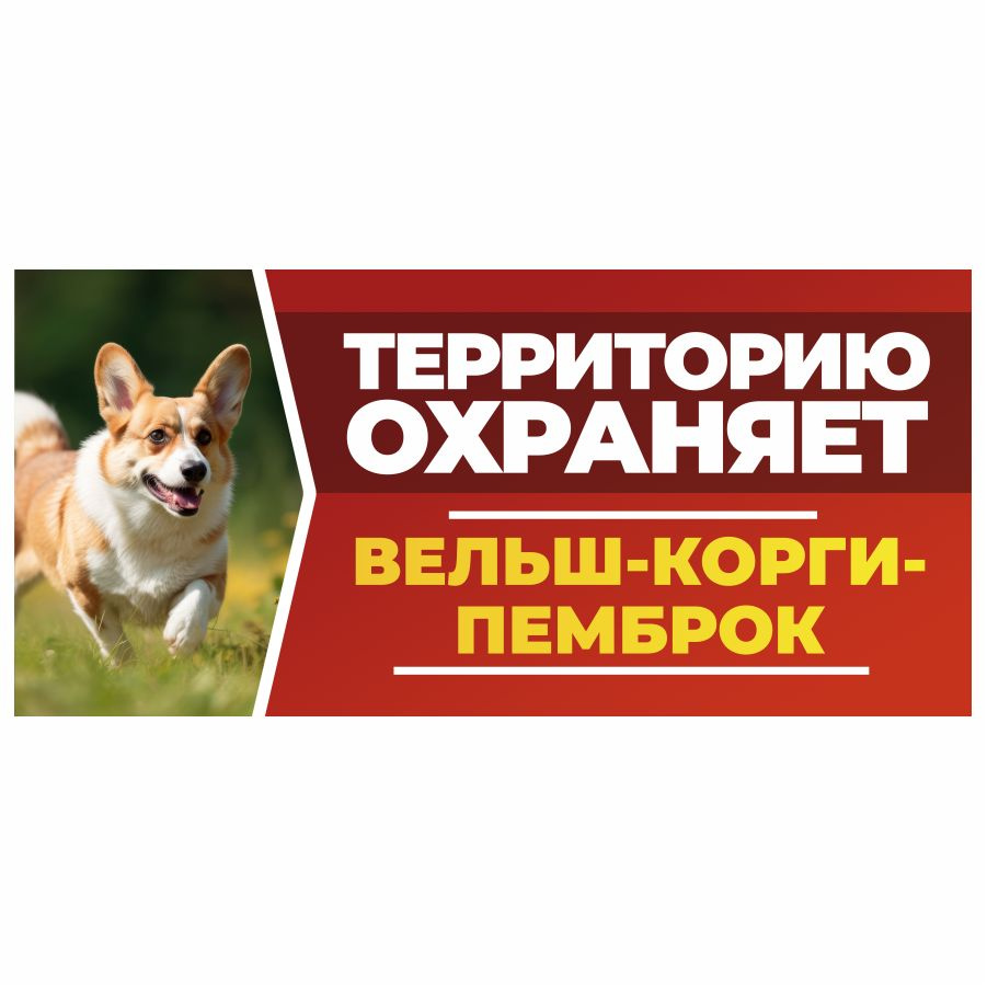 Табличка, DANGER DOG, Вельш-корги пемброк, на забор, 30см х 14см  #1