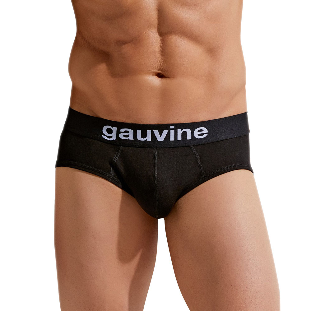 Трусы брифы GAUVINE, 1 шт #1