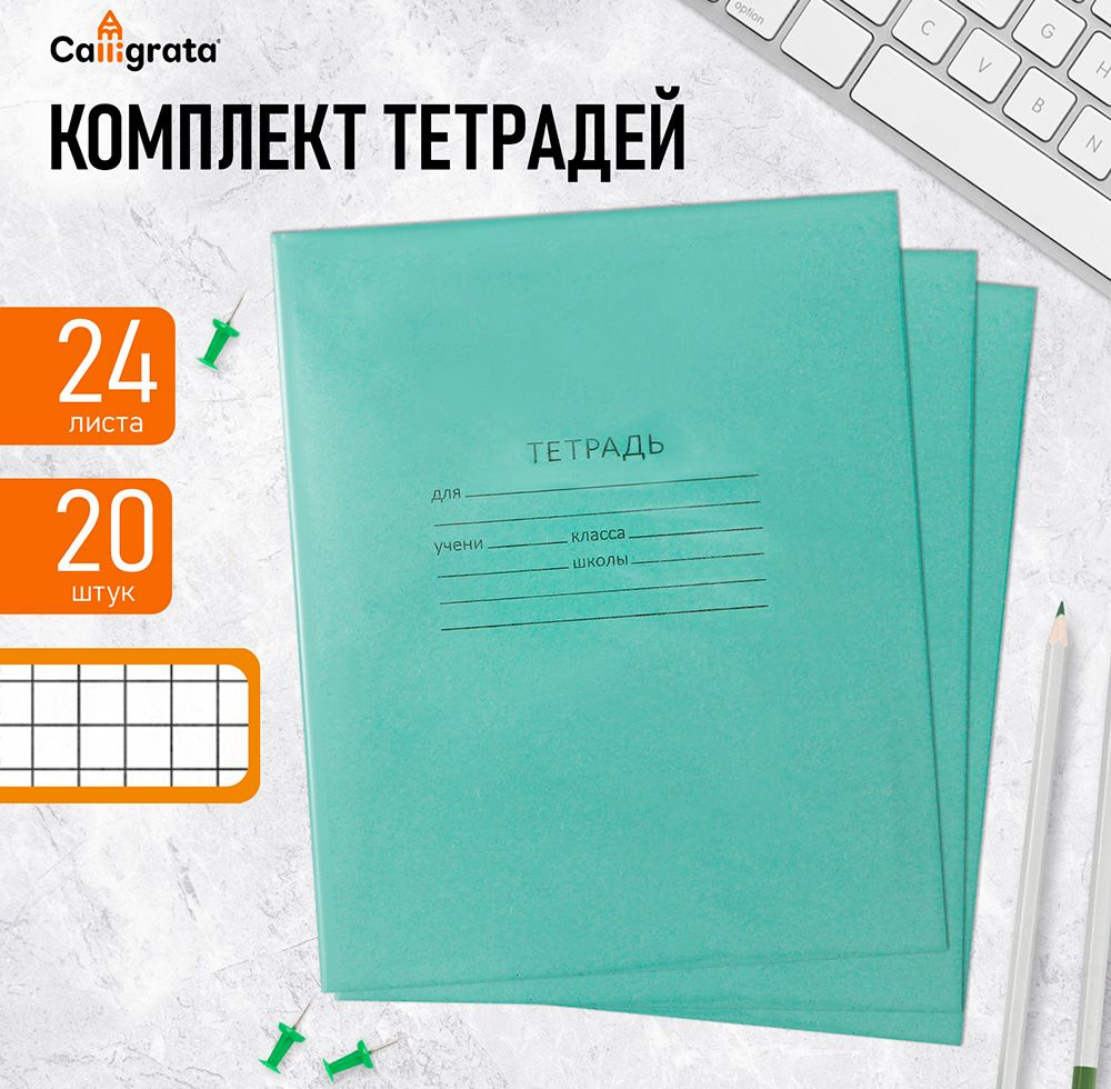 Комплект тетрадей из 20 штук, 24 листа в клетку КПК "Зелёная обложка", 60 г/м2, блок №2, белизна 75% #1