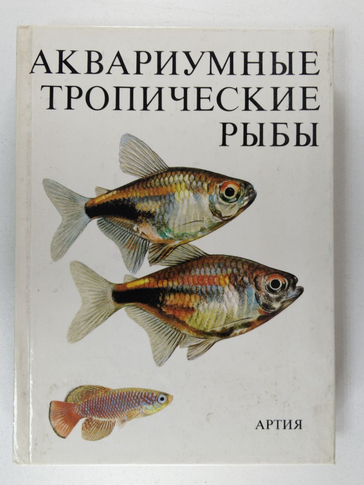 Аквариумные тропические рыбы | Петровицкий Иван #1