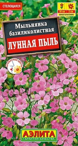 МЫЛЬНЯНКА ЛУННАЯ ПЫЛЬ базиликолистная. Семена. Пышноцветущая, многолетняя, стелющаяся культура.  #1