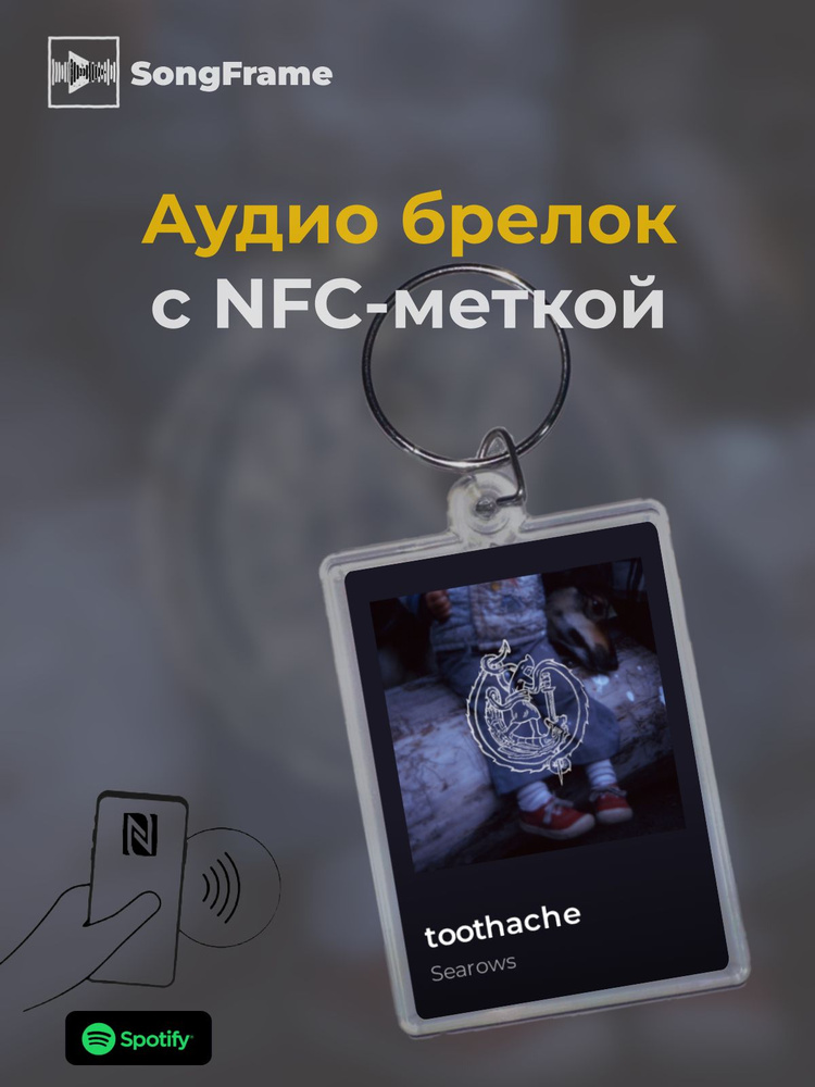 Брелок Spotify с NFC Трек: Searows - toothache #1