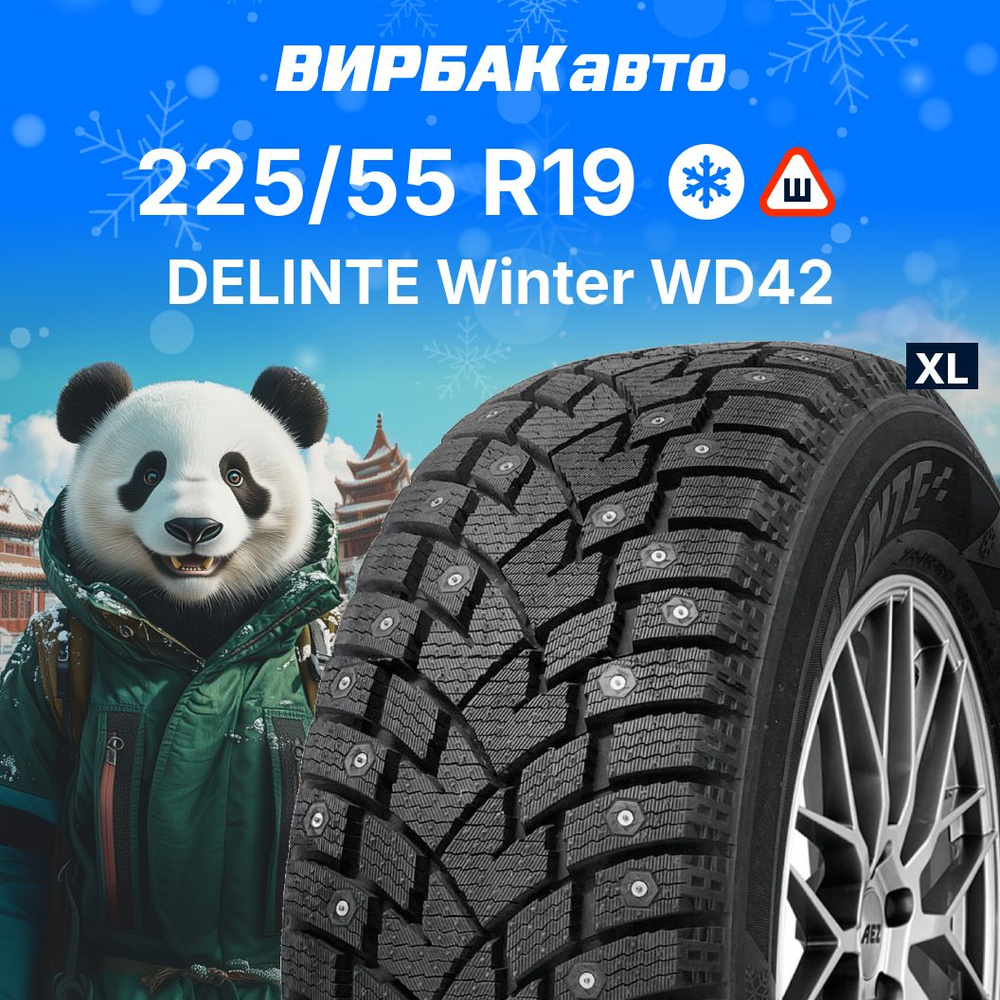 Delinte Winter WD42 Шины  зимние 225/55  R19 103T Шипованные #1