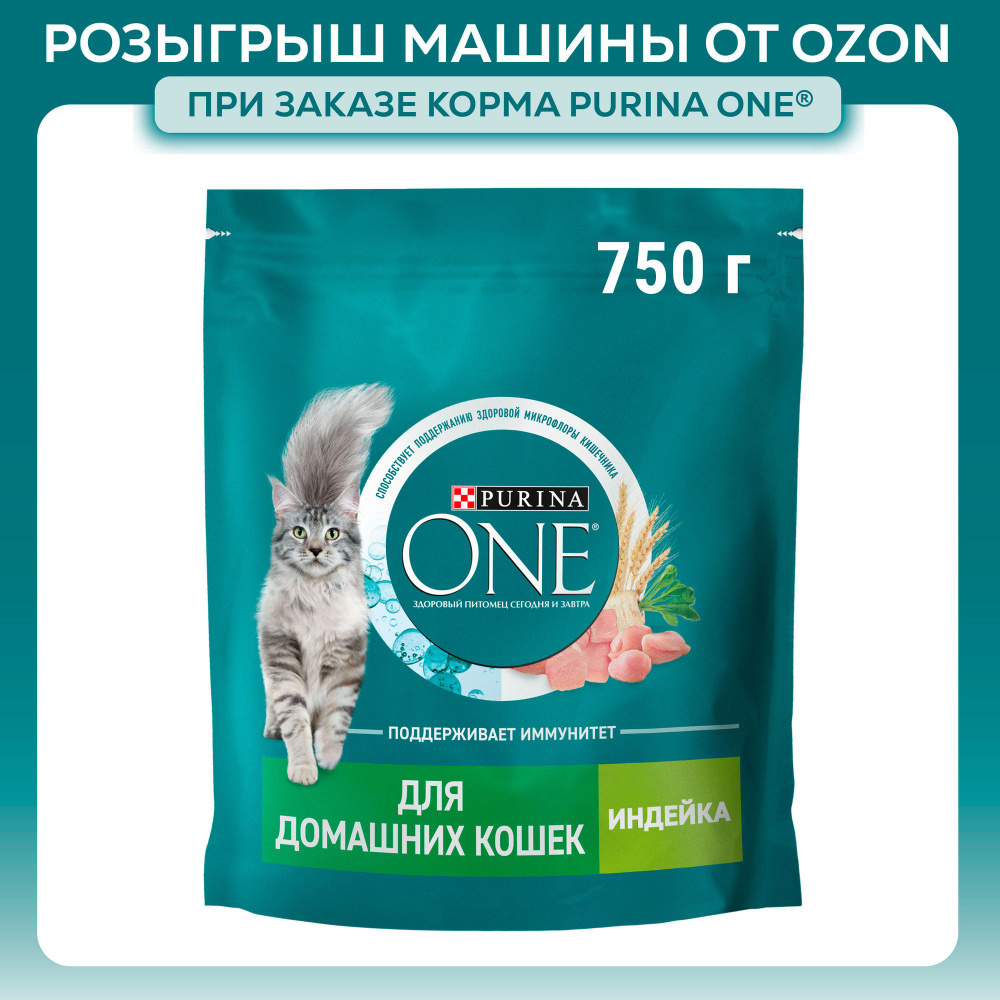 Сухой корм для кошек Purina ONE при домашнем образе жизни, с индейкой и цельными злаками, 750 г  #1