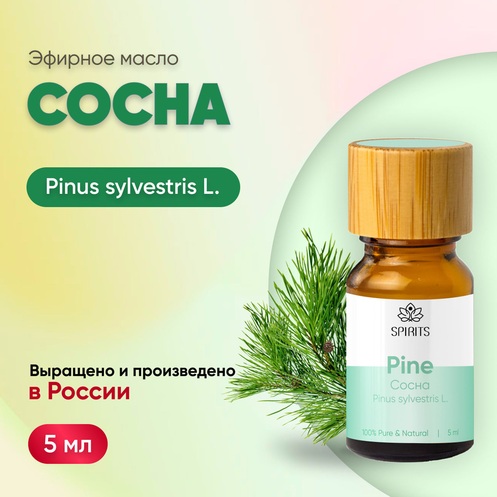 Эфирное масло Сосна сибирская (Pinus sylvestris L.), 5 мл #1