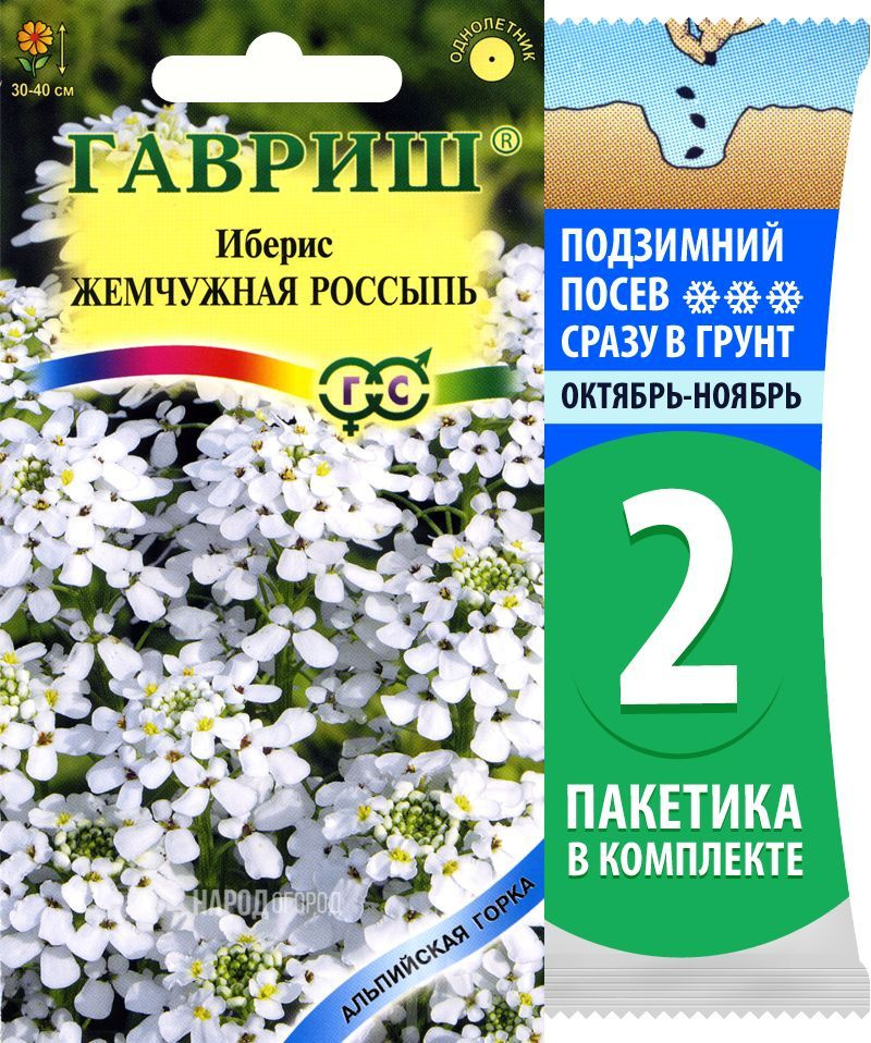 Семена Иберис зонтичный белый Жемчужная Россыпь, 2 пакетика по 0,1г/25шт  #1