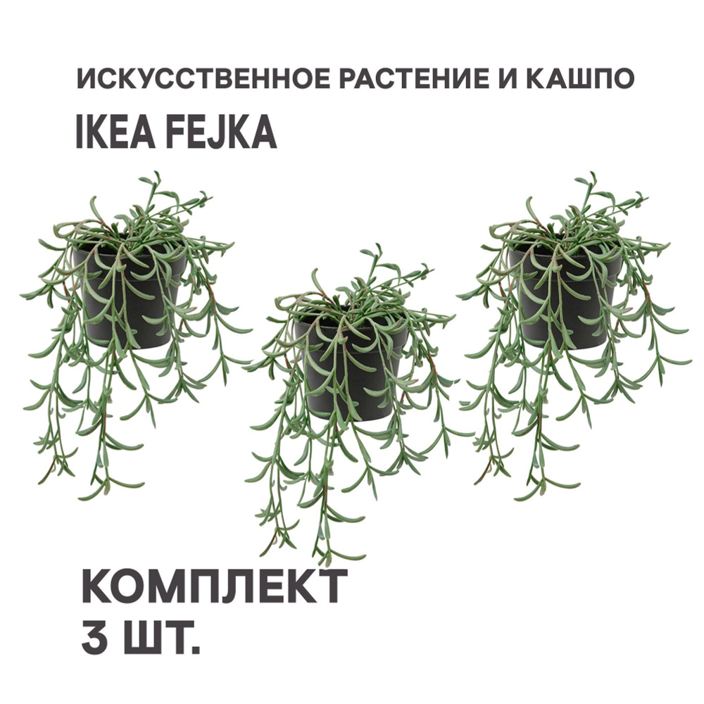 Искусственное растение в горшке IKEA FEJKA ФЕЙКА Крестовник укореняющийся подвесной, 3шт.  #1