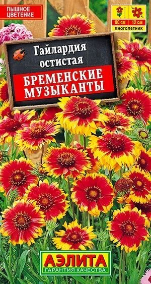 Гайлардия Бременские музыканты. Семена. Сорт стойко переносит похолодания, зиму, летний зной и засуху. #1