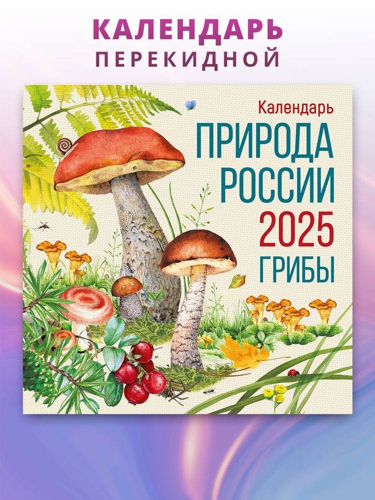 Календарь 2025 настенный Грибы России #1