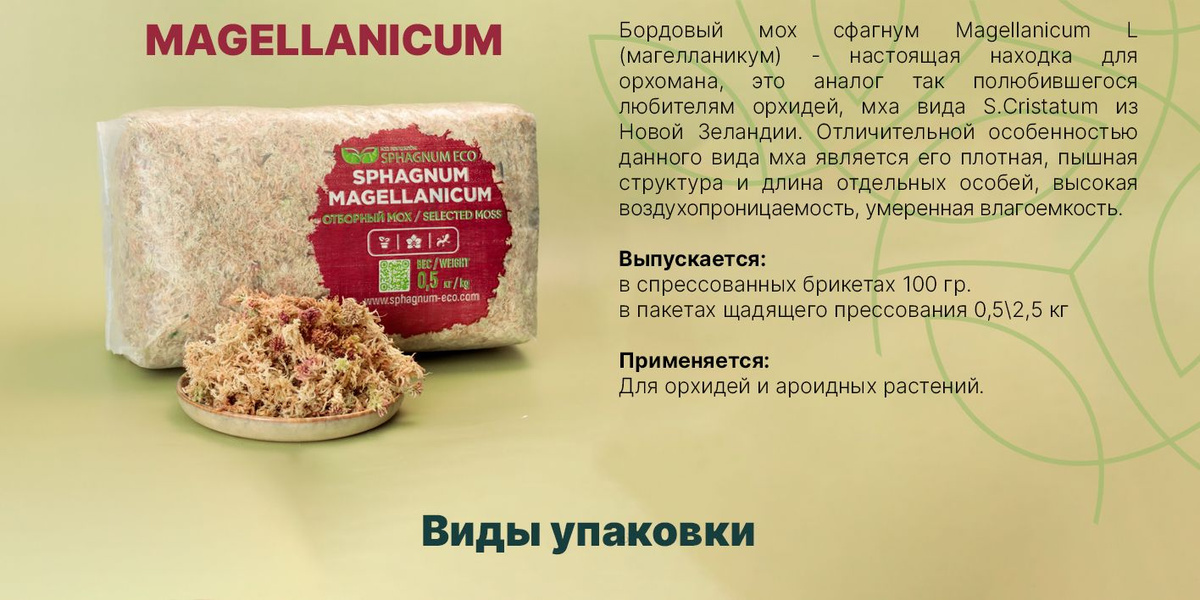 Бордовый мох сфагнум Magellanicum L (магелланский мох) - настоящая находка для орхомана, это аналог так полюбившегося любителям орхидей, мха вида S.Cristatum из Новой Зеландии (спагмос, спагмосс, sphagmoss). Отличительной особенностью данного вида мха является его плотная, пышная структура и длина отдельных особей, высокая воздухопроницаемость и умеренная влагоемкость. Для орхидей и ароидных растений.