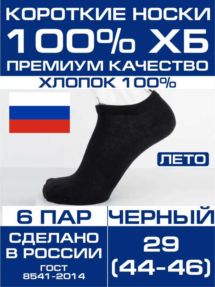 Носки Натур мужские 100% хлопок, 6 пар