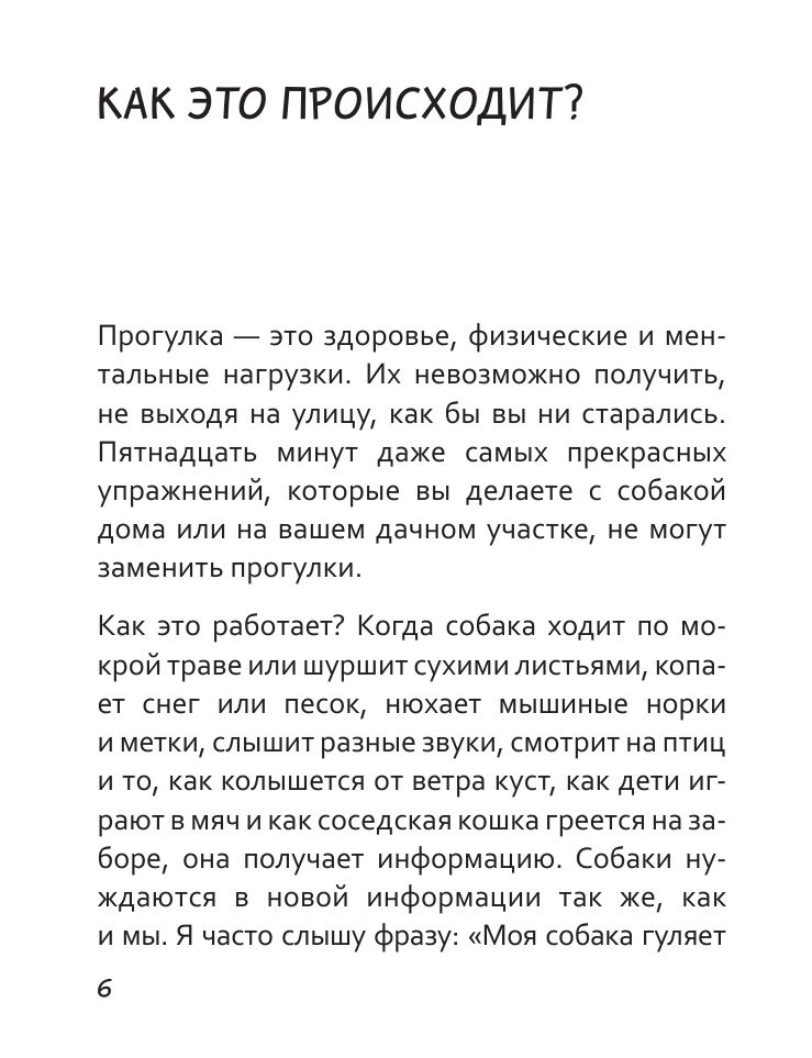 «Идем ГУЛаЯТЬ. Нескучные прогулки для питомцев и их хозяев» — фото 7