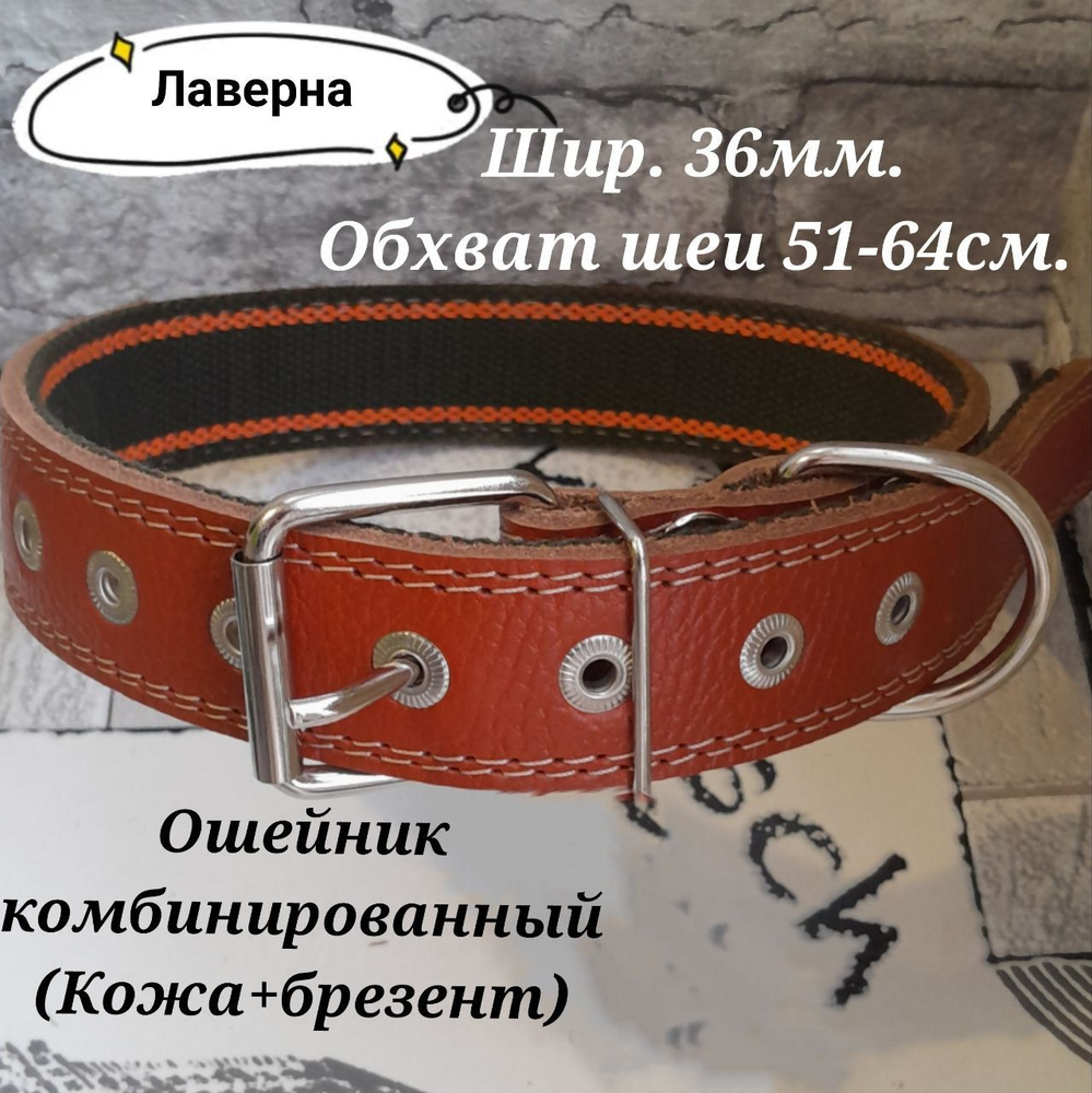 Ошейник комбинированный кожа+брезент. Ширина 36мм. Обхват шеи 51-64см.  #1