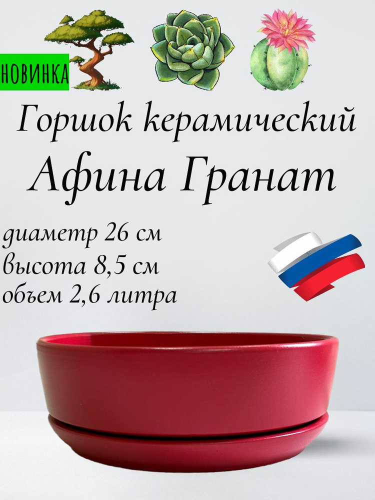 Керамический горшок "Афина Гранат" для бонсай, кактусов и суккулентов, диаметр 26 см, высота 8,5 см  #1