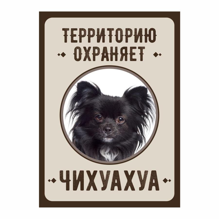 Табличка, Злая собака, Территорию охраняет Чихуахуа, 18см х 25 см, на забор, на дверь  #1