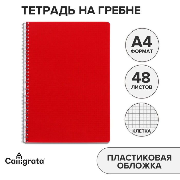 Тетрадь на гребне A4 48 листов в клетку Calligrata Красная, пластиковая обложка, блок офсет  #1