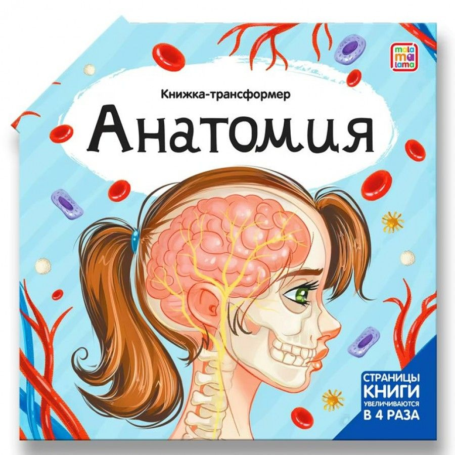 Книжка-трансформер Анатомия. #1