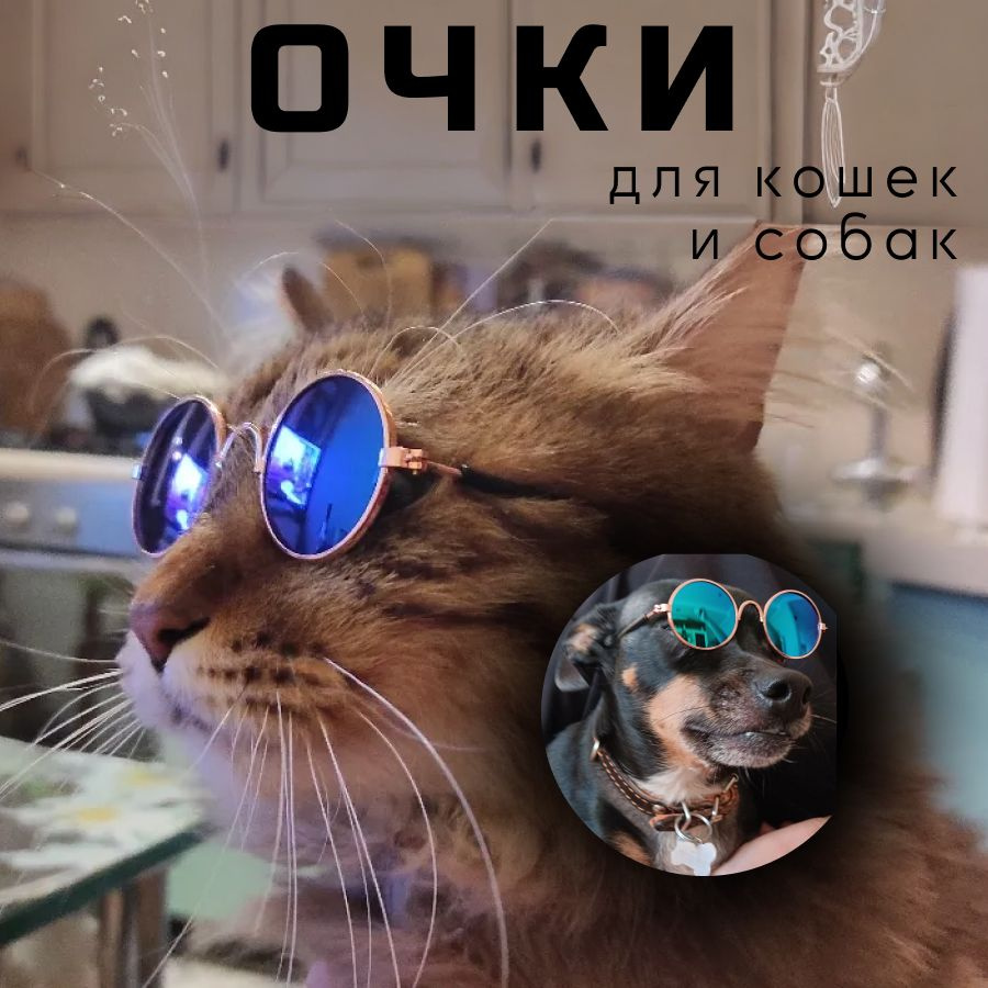 Солнцезащитные очки для кошек, для собак, для животных, очки для животных, для питомцев  #1