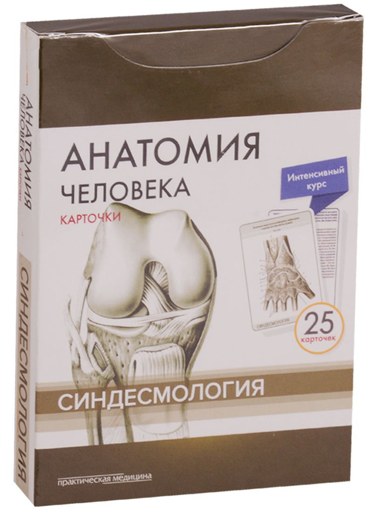 Анатомия человека. Синдесмология (25 карточек) #1