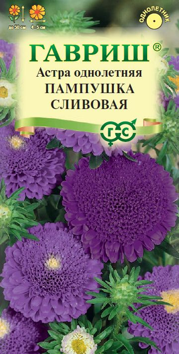 Астра Пампушка сливовая 0,3 г (Гавриш) #1