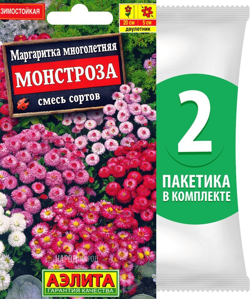 Семена Маргаритка Монстроза смесь сортов, 2 пакетика по 0,05г  #1