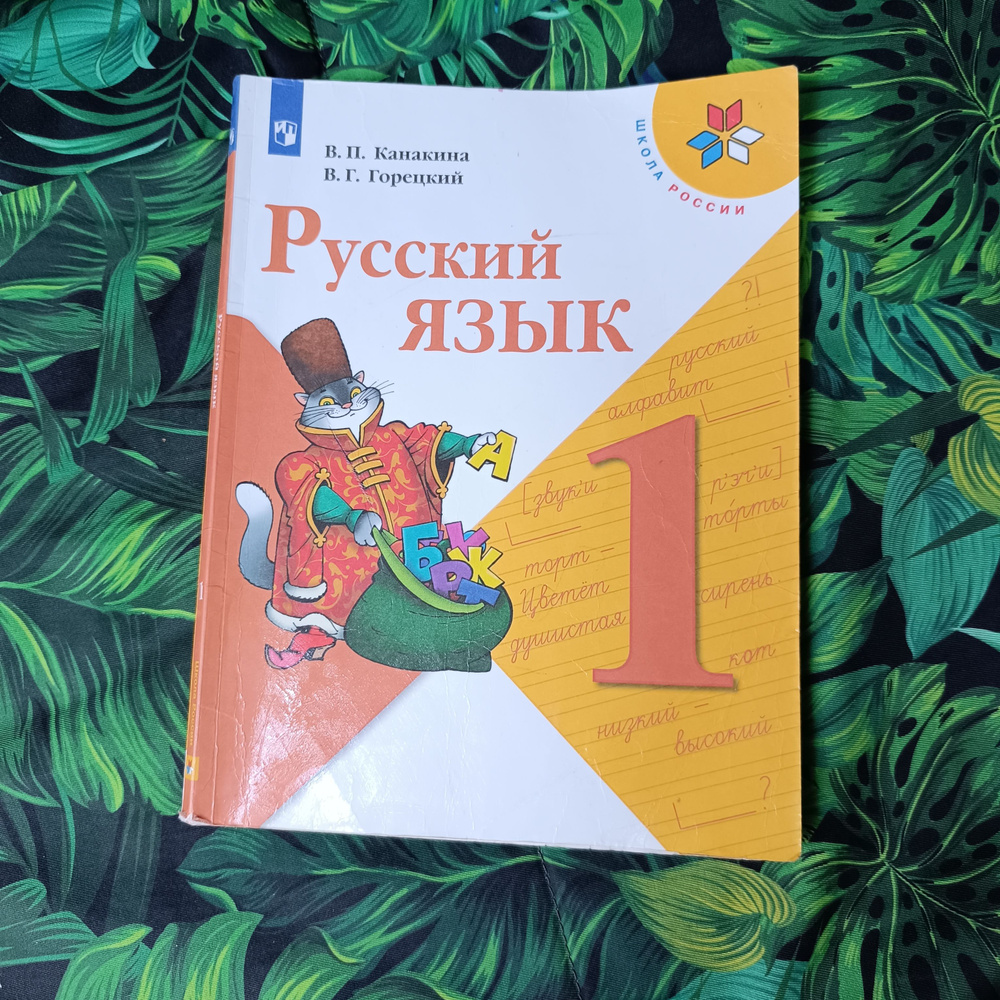 русский язык 1 класс Канакина Горецкий с 2019-2022 год | Канакина Валентина  #1