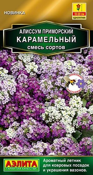 АЛИССУМ ПРИМОРСКИЙ Карамельный. Семена. Вес 0,05 гр. Почвопокровный ароматный летник и ценный медонос. #1