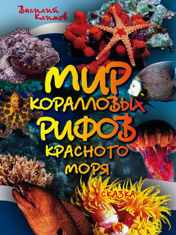 Мир коралловых рифов Красного моря | Климов Василий #1