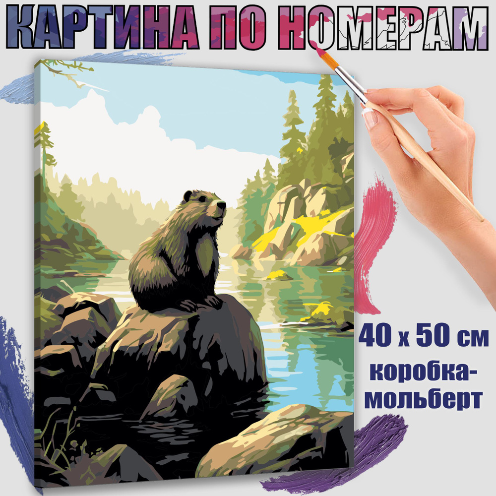 Картина по номерам 40x50 см. Бобер #1