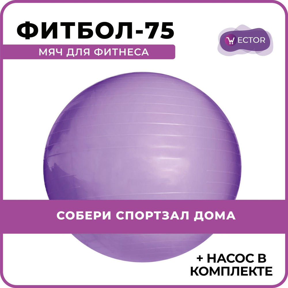 Wector Фитбол, 900 г #1