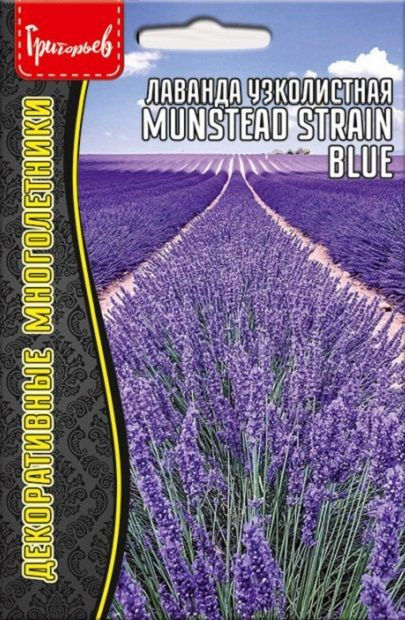 Лаванда многолетняя узколистная Munstead Strain Blue, 30 шт семян  #1