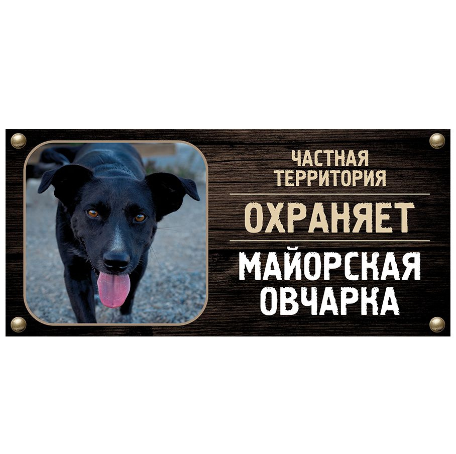 Табличка, Злая собака, Территорию охраняет Майорская овчарка, на металлической основе, 30см х 14 см, #1