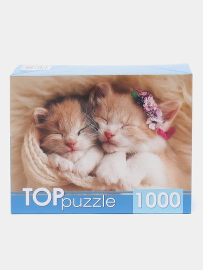 Пазл TOP Puzzle 1000 деталей: Два спящих котенка #1