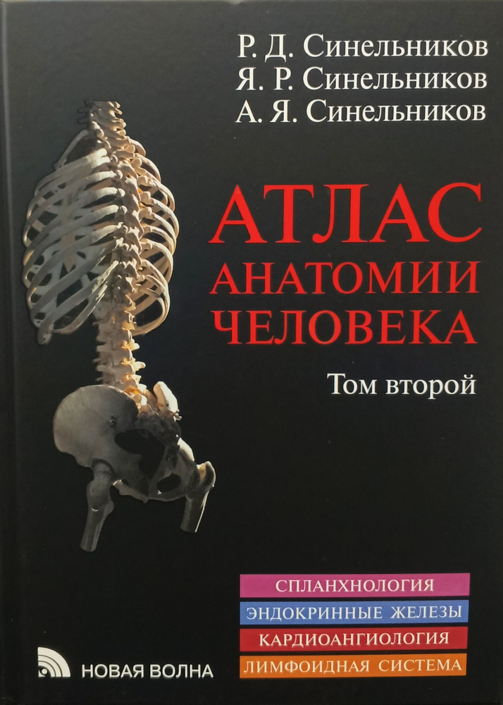 Атлас анатомии человека в 3-х томах. Синельников. 2-й т. (8-е издание). 2023г. | Синельников Рафаил Давыдович, #1